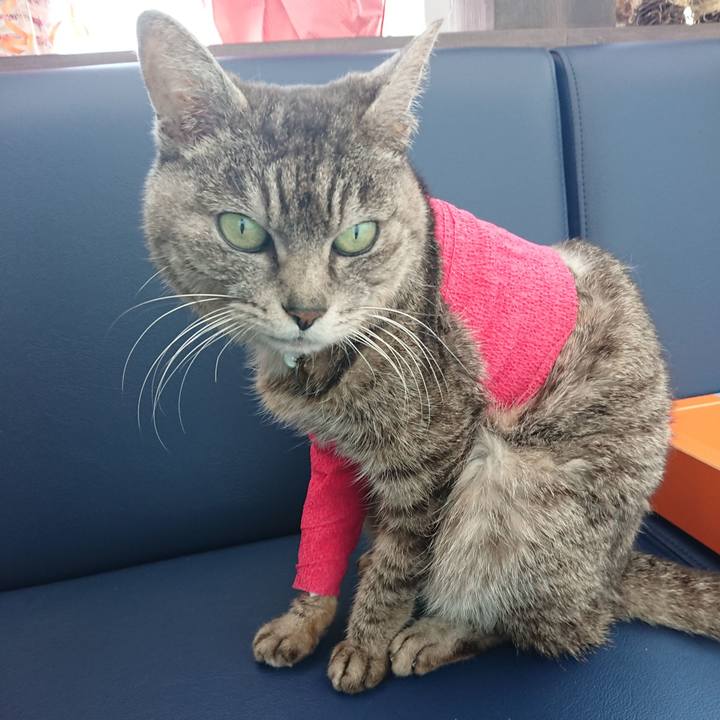 5a4d4921 003b 410f 9945 2f9ce33346c3 1586589754794