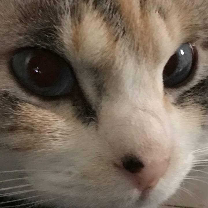 5a4d5db4 61aa 4ffb 9947 e8d7532df950 1520397050909