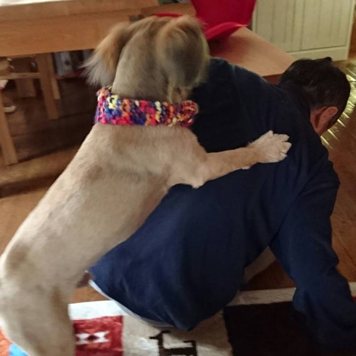 5a4d892d acdf 41a5 b1f4 232ba29a4426 1541821803078