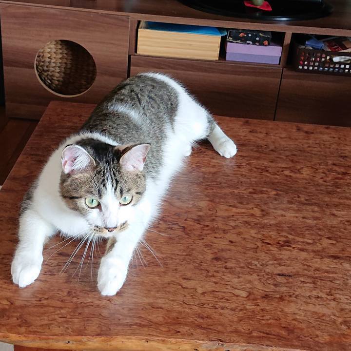 5a4df38d 5621 4387 af41 5987bc8d93b0 1596674751942