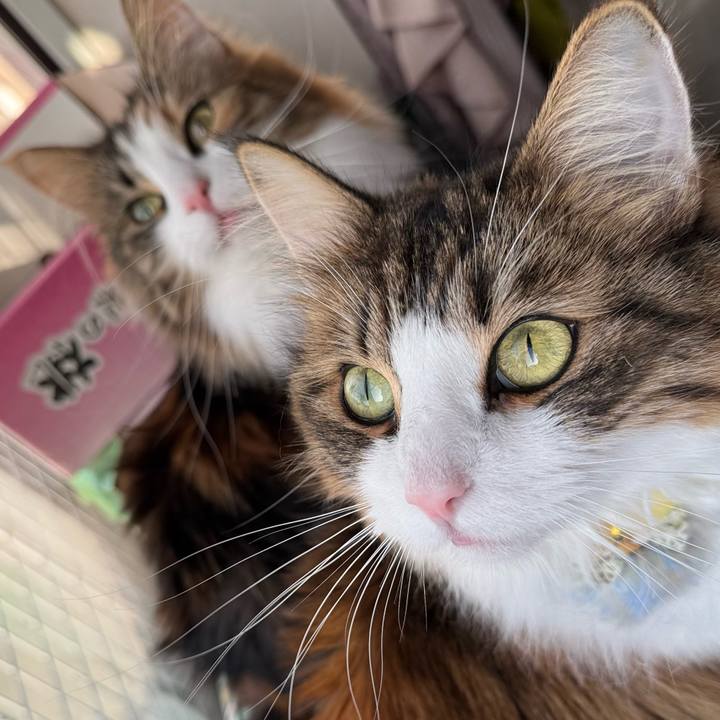 5a4df46a 51a0 4c5f 8bc2 9ff7fc9cb8dd 1768606929741