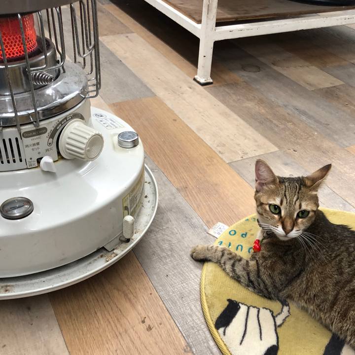 5a4e39ad cc05 42d0 aed2 bcd5968c890a 1636626989332