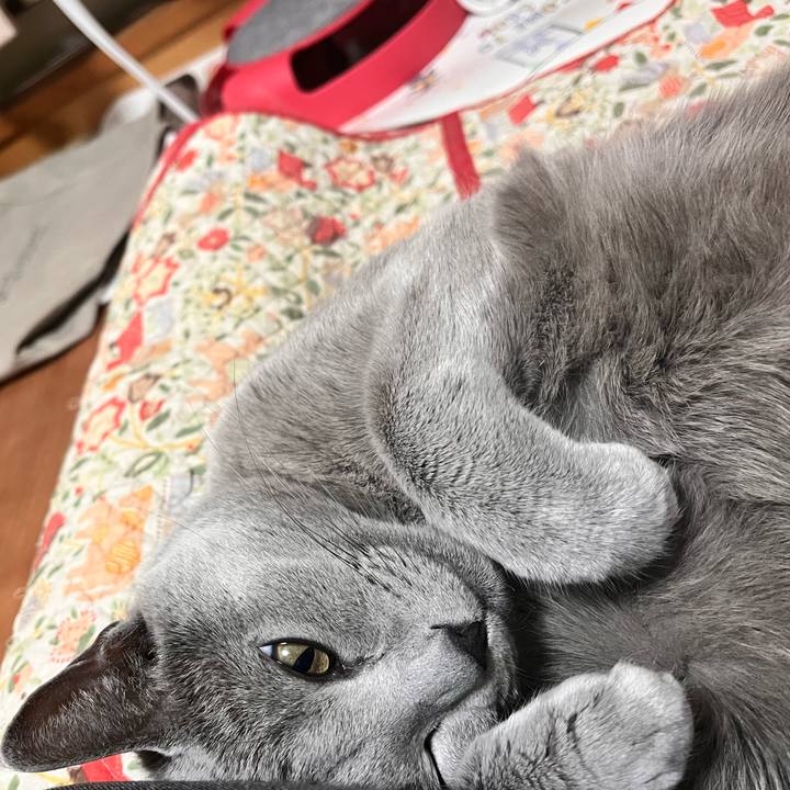 5a4e4fdb be57 4103 a19f 0e9a253e02a9 1669990301134