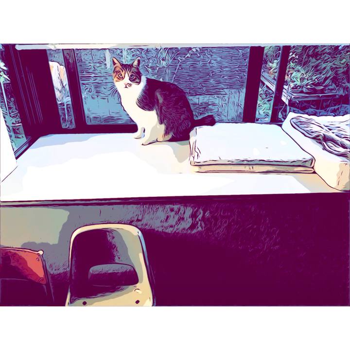 5a4ea2b5 c198 4176 b8b5 3432d5af63d4 1540773146825