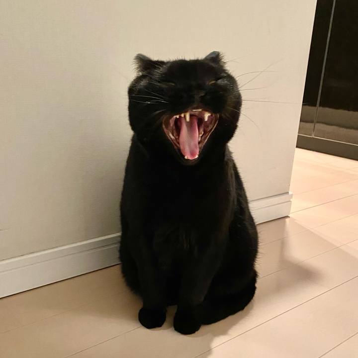 5a4ed70c 6a2a 4171 9609 2ffab51a2bae 1708782621367