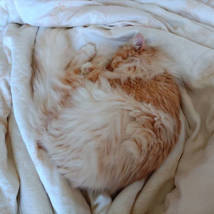 5a4efb60 3e4e 4f03 903a 33fd67a128f5 1714696437491