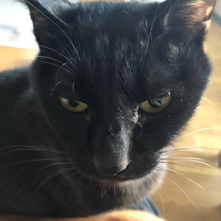 5a4f00dd 5c14 41c1 b518 146623355617 1668722589815