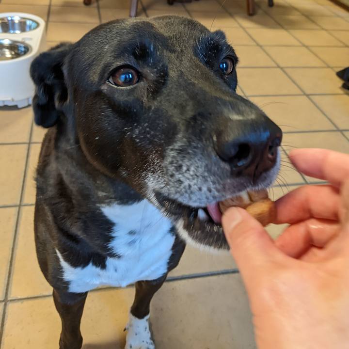 5a4f20f0 9608 47d1 8b34 a798eb2bf426 1667644507543