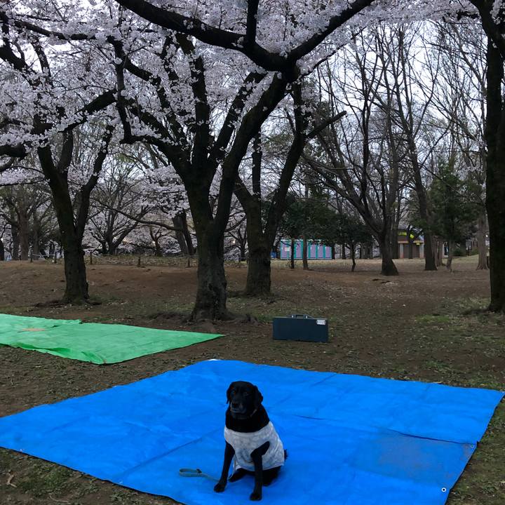 5a4f26bd 6b13 41cb bf4f 90d6a39e7af2 1553896696005