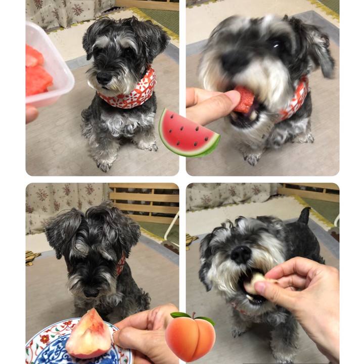 5a4f3ba8 c760 4520 938e 314be37cb667 1659355950640