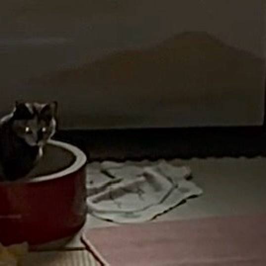 5a4f631a f3ba 4056 802b 5dfff5117b02 1745952546721