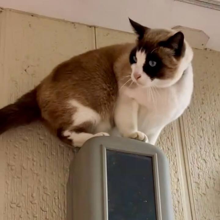 5a4f6dfc 89ea 4663 a0af b7d34d51f352 1742177121491