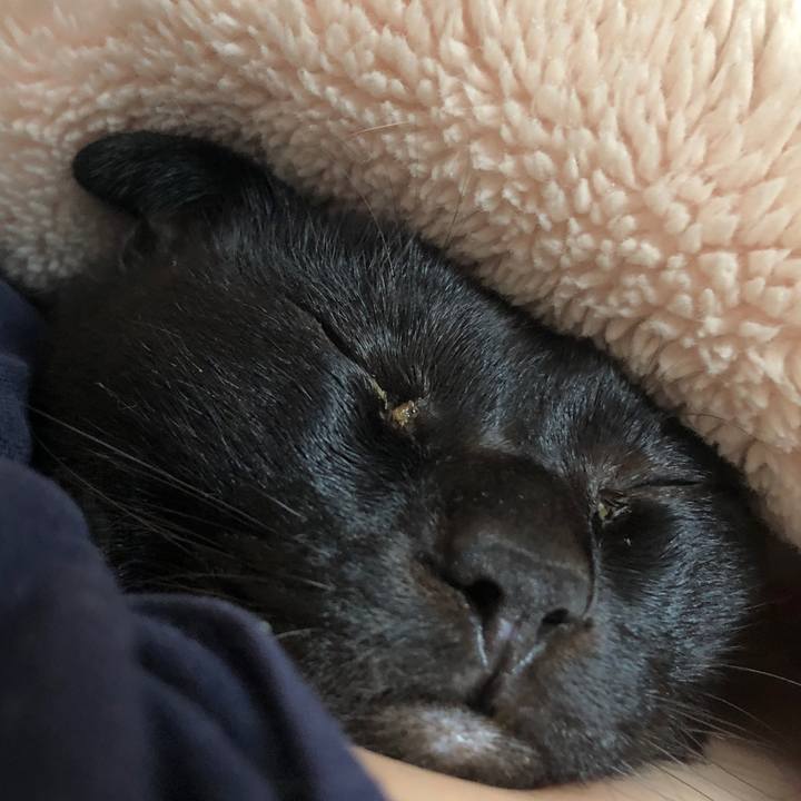 5a4f765a 21d1 4074 8a74 6c4ba3d3401e 1729896611030