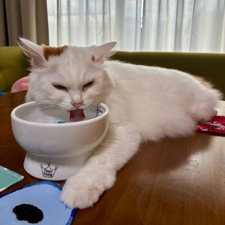 5a4fb1cc 1250 4e36 be04 a311f0e37b37 1758332465203