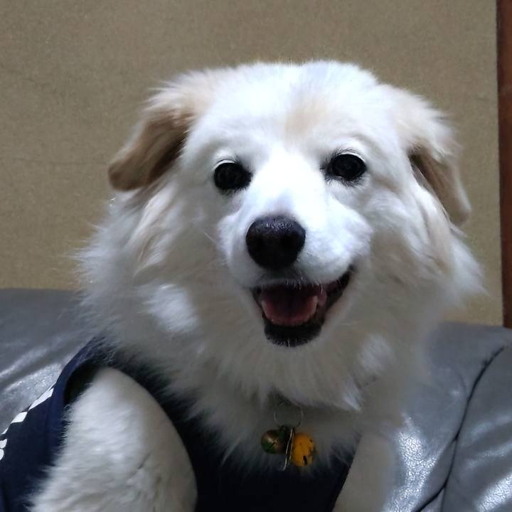 5a4fd1b7 7134 4e9a bab5 022afd8b5603 1643971672999