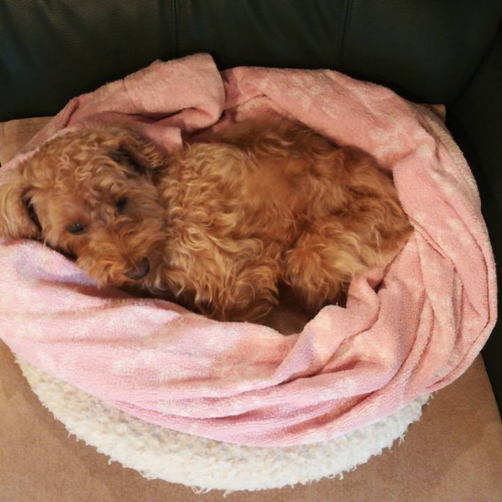 5a4fd736 642b 4faa a5eb a62270585e27 1526515160043