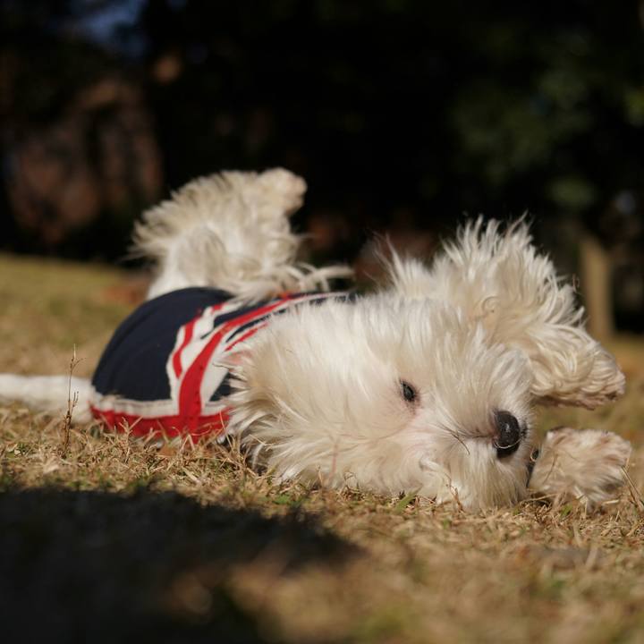 5a501a35 5eba 4ed9 9875 003baa8faea1 1512575633869