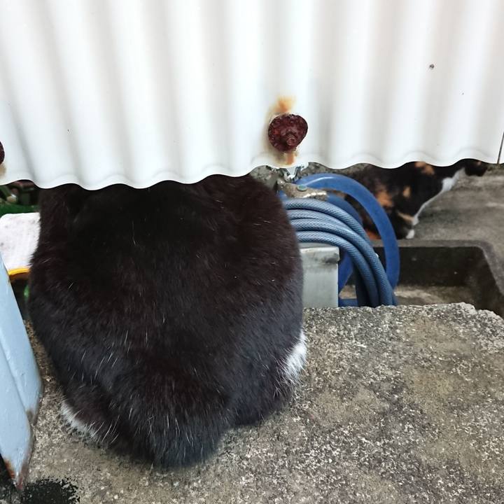 5a50531c efba 4698 9ad8 879f806982dc 1631782819851