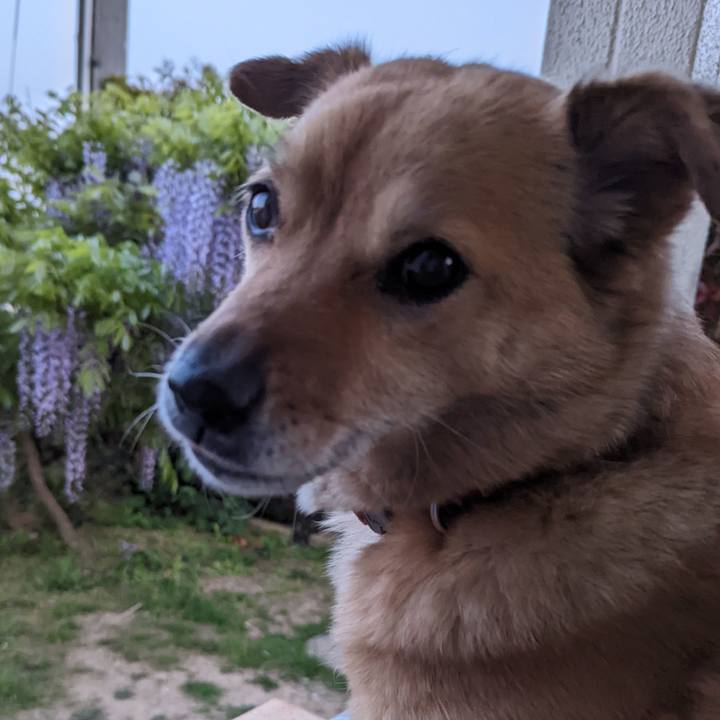 5a507116 1d29 43a5 ba44 69482e764b34 1651758787356