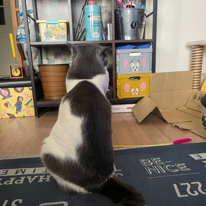 5a50a739 3a05 4b5d b4a7 06c0cd5782de 1716100802061