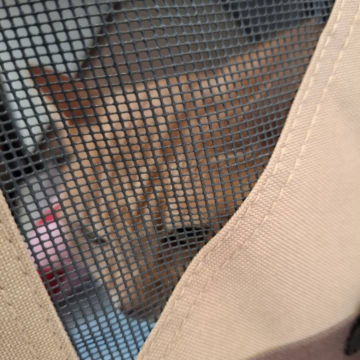 5a50b72c eded 4bd8 ad63 c88e8c6af6c1 1728699402129