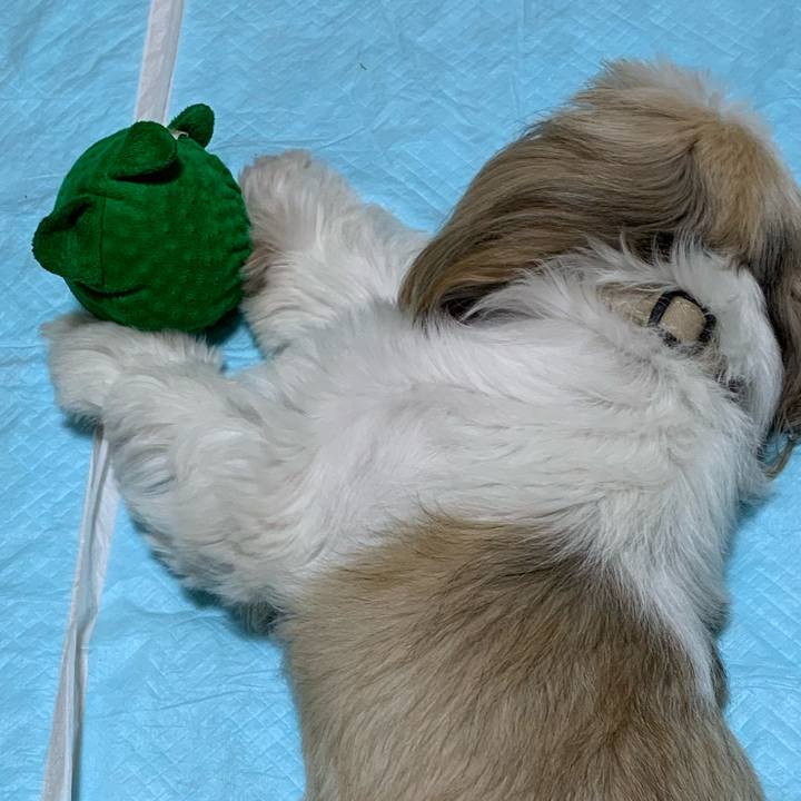 5a50be97 d2ef 4614 a062 df6222ae4af6 1701616404431