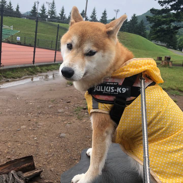 5a50d00b fafc 4a13 9290 b9bff234af65 1534217964893