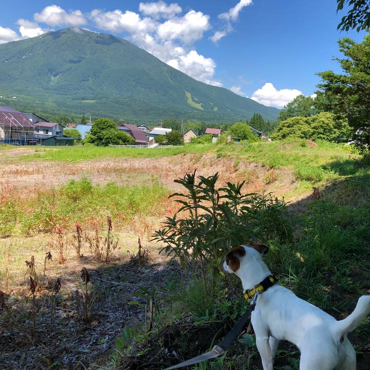 5a50e22d d61d 4b84 b9b2 39e5e927461d 1529406616607