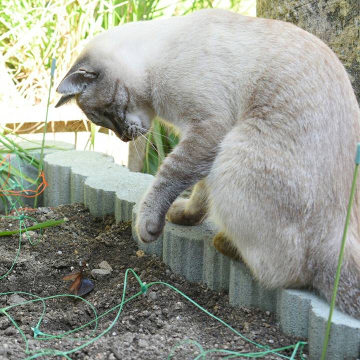 5a50e306 3dde 4e24 8f4c cf1e58d3cee8 1509076703474