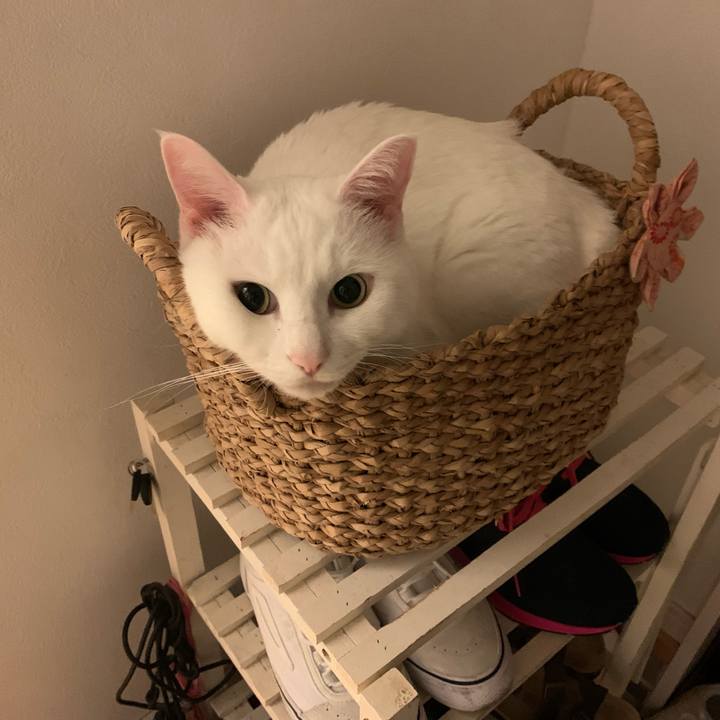 5a515075 5314 4c9f 97b6 7797e035a368 1638960362838