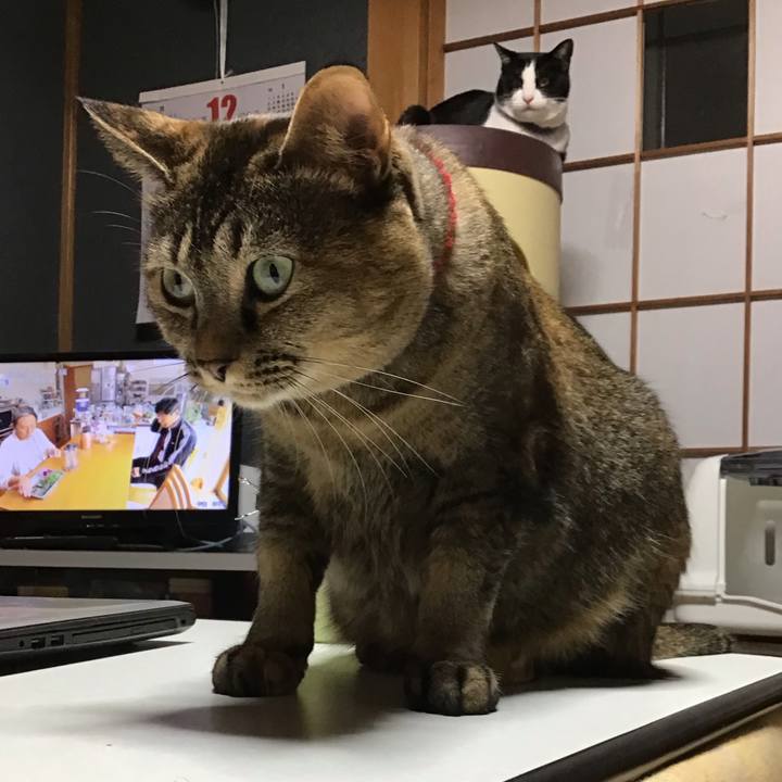 5a5162a1 c2d9 46f3 966b 5ae17033e99e 1671269589691