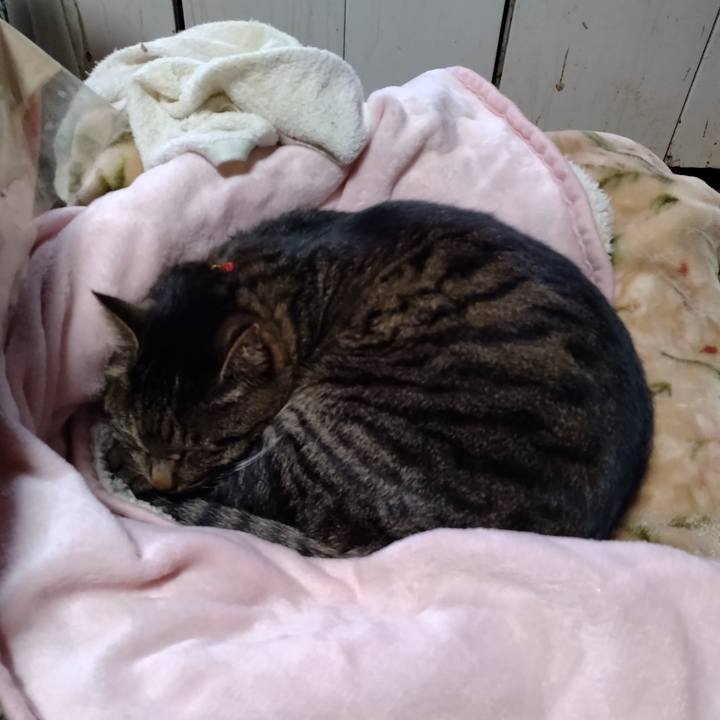 5a51a402 25c8 48ca b79d ab210ee003ad 1674626224227