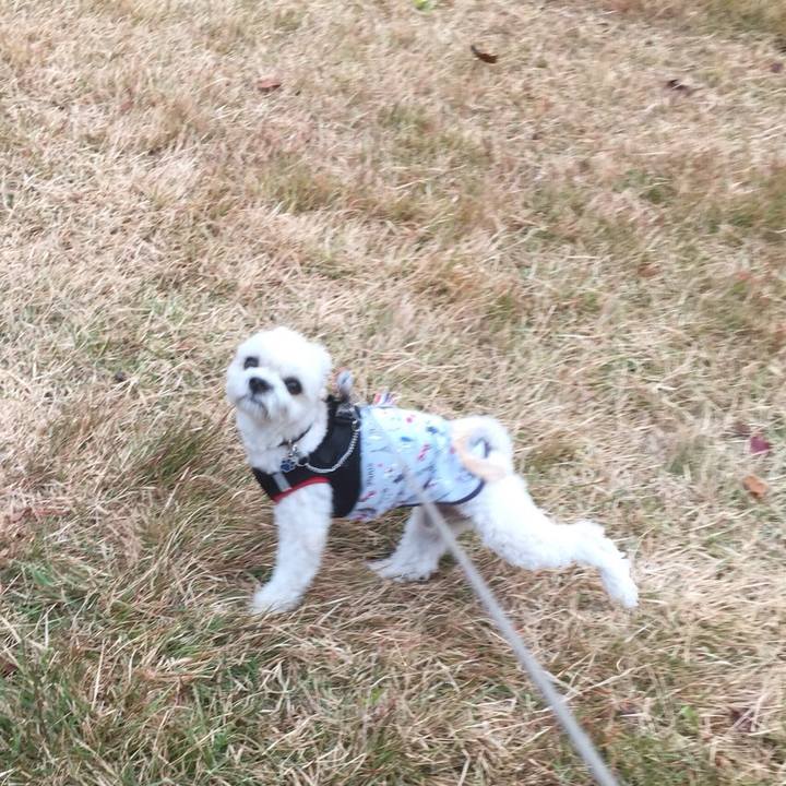 5a51c240 3d95 4c82 9acc b24198ece1ec 1510998797856