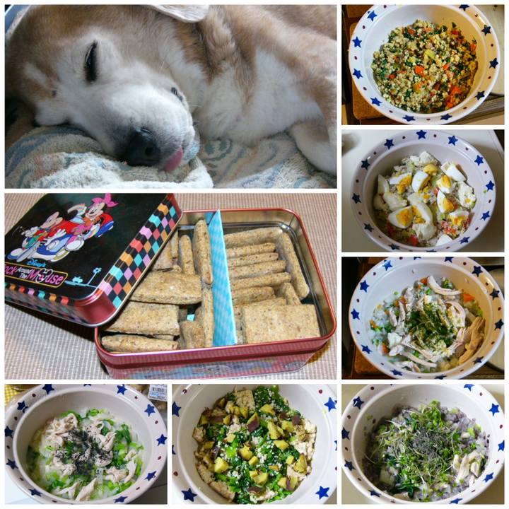 5a51c9ee c40f 425f ac35 cd7658d282a1 1679791368214