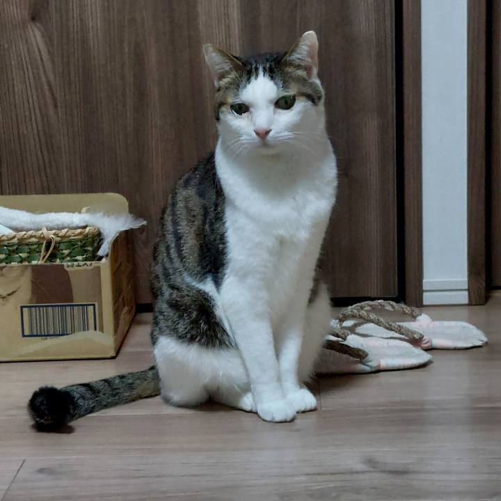 5a51cff4 cd1a 42c6 87a7 79d41babecc4 1739708780624