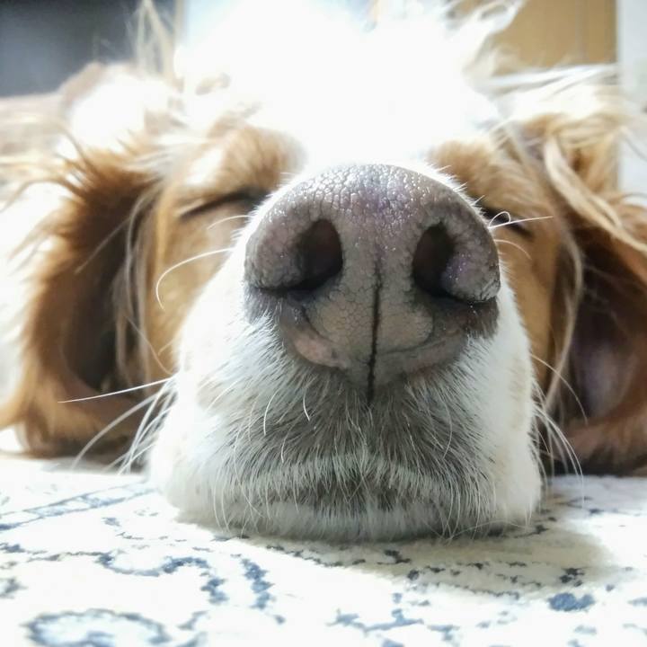 5a51d8c8 776d 4ea2 a4f5 d9b4257dd8c1 1561635610662