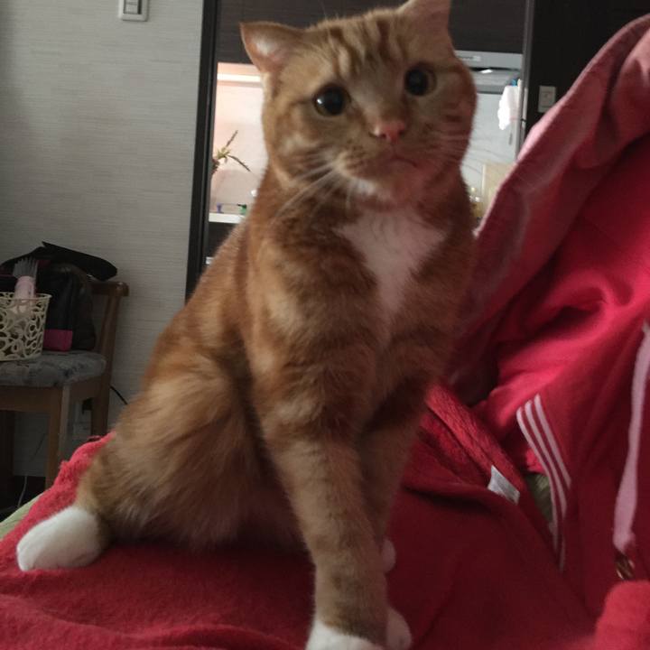 5a51ffee 09e0 4319 90b8 a055d1abdab7 1522620375465