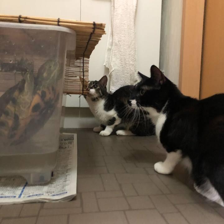 5a520305 818a 4150 9782 de123d6f3335 1567958908242