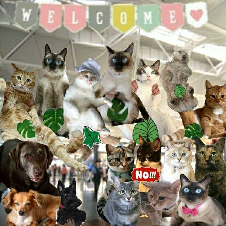 5a52596f bfa9 4779 9aea 8441d666a43d 1538403650304