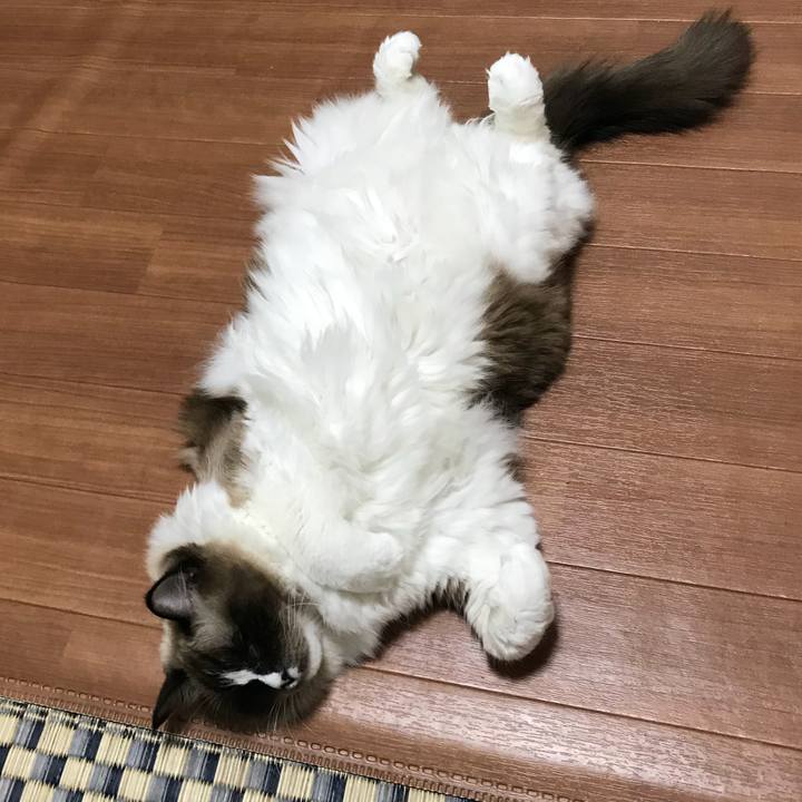 5a526430 7db5 4424 abed 81440b33ca39 1514594369525