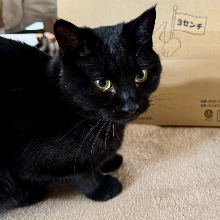 5a52728e c9a8 4ce8 bdc2 9cc8f9b939de 1765598891022