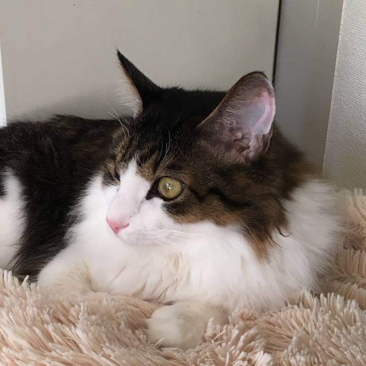 5a529695 a373 4c4d b5ca fb6d46e3f1e0 1511422873258