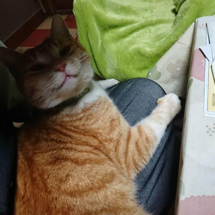 5a52eeea eaf6 4342 9bc3 b90aaf56f3ca 1584349138400