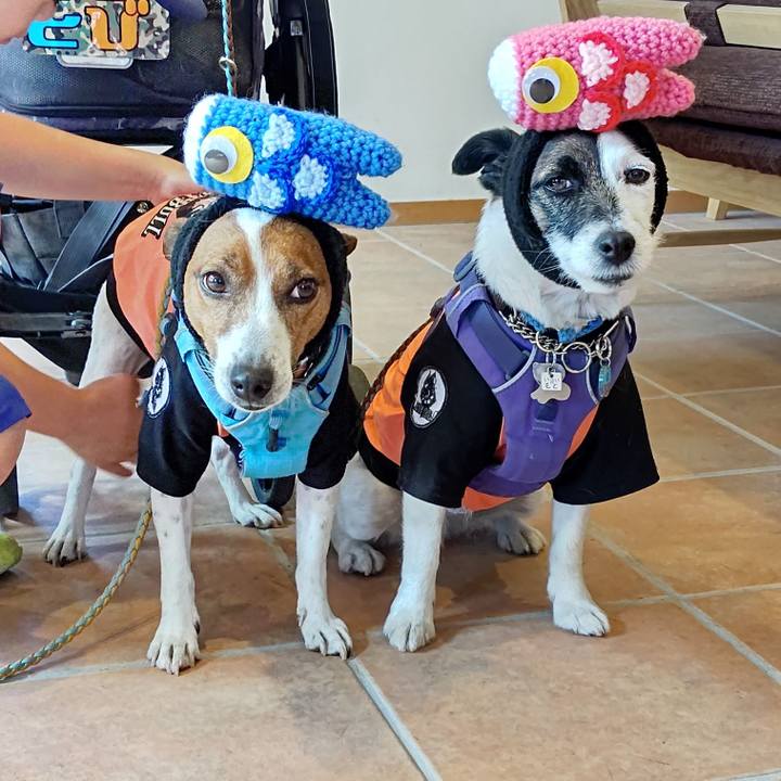 5a531166 c2f1 427d 965c f8488f3bf46e 1683289206745