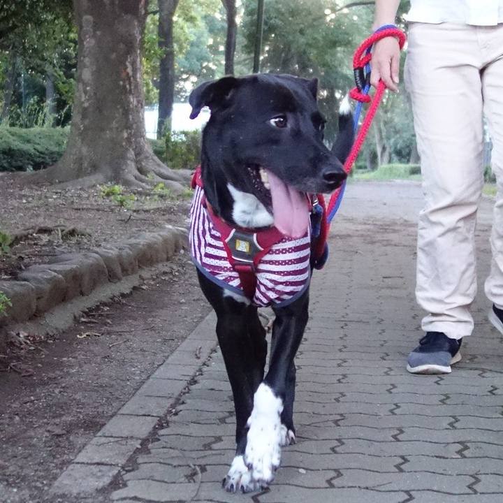 5a534b1d 8cc0 471a b7a9 658601e9aeb9 1593688763894