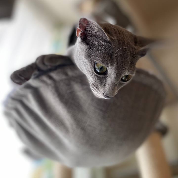 5a53af66 bcbd 491f b3e7 3a6bc019e00d 1597141016304