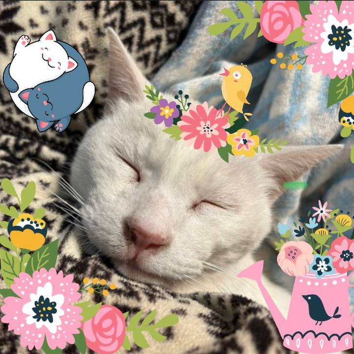 5a53e756 217e 4d2f 92d3 a6ade053c842 1677020000217