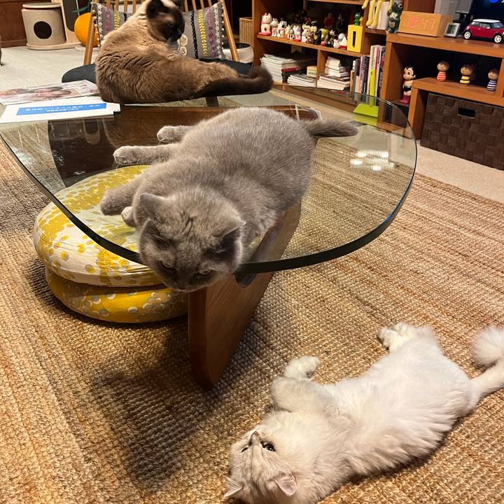 5a53ef9c 91df 4b75 b627 d16b2fdedf9d 1720529026696