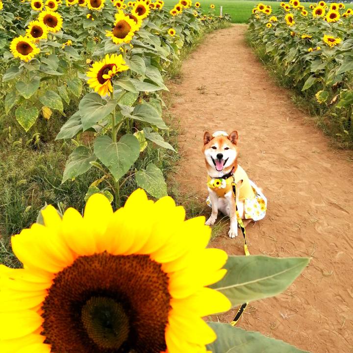 5a542ee6 342f 4d83 a041 e92168e8249e 1657625655433