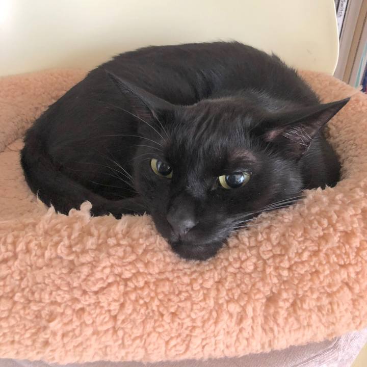 5a54310f 7629 4686 8c8b a67a9bc46188 1529191213200